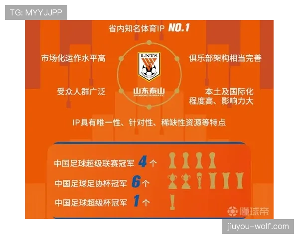 山东泰山豪门地位持续稳固，对国内联赛竞争格局形成长期影响